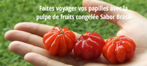 fruits-sabor